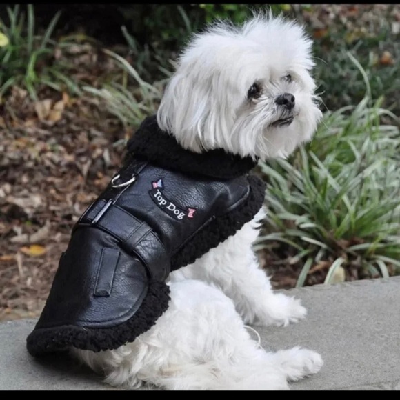 Dog Bomber Jacket fits dogs 11 to 15 lbs New Doggie Design Dog Coat with Leash - Picture 3 of 5